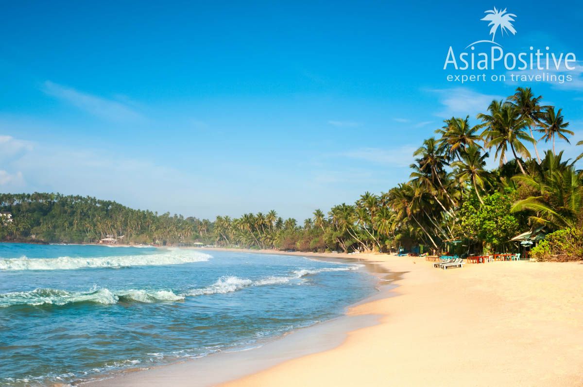 Пляж Мирисса (Шри-Ланка) | Путешествия AsiaPositive.com
